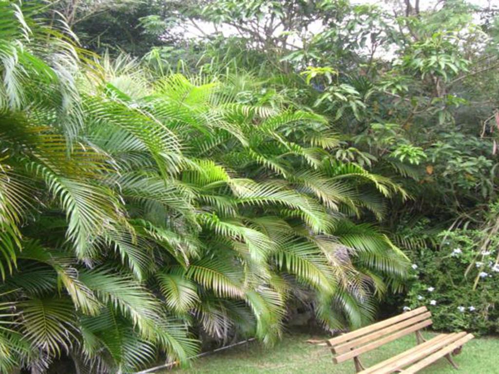 Htl Telhado Verde Armacao dos Buzios Экстерьер фото